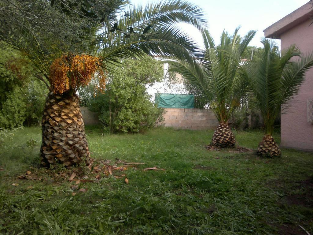 Il Fenicottero Rosa Villa Olbia Exterior foto